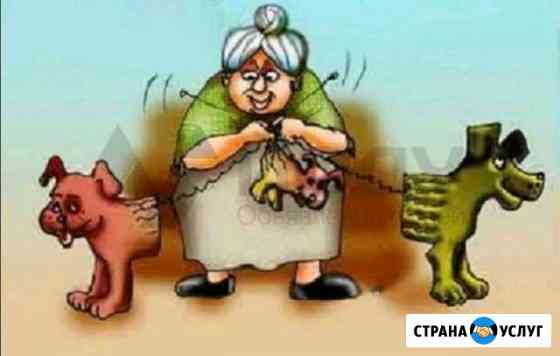 Инструктор по вязке собак Пермь