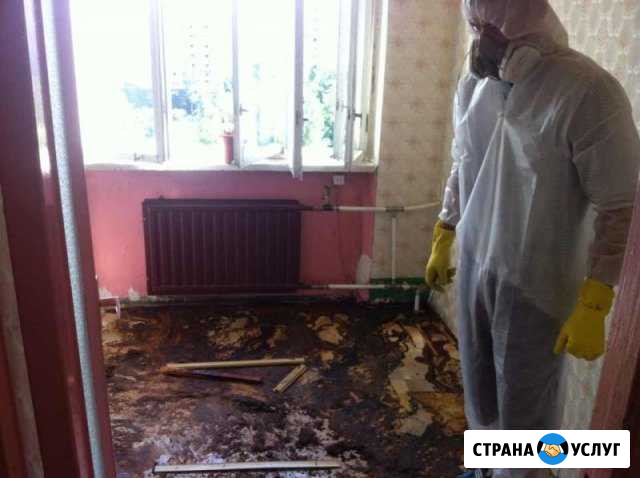 Уборка квартиры после покойных,смерти в Кемерово Кемерово - изображение 1
