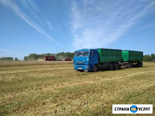 Камаз Зерновоз Самосвал Барнаул - изображение 1