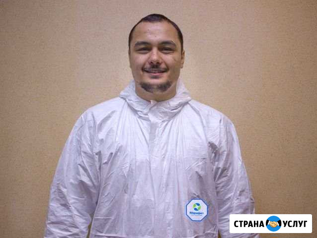 Уничтожение клопов, обработка от клопов в Туле Тула - изображение 1