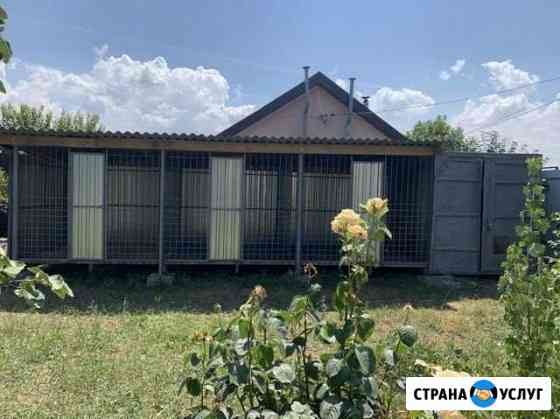 Зоогостиница Ростов-на-Дону