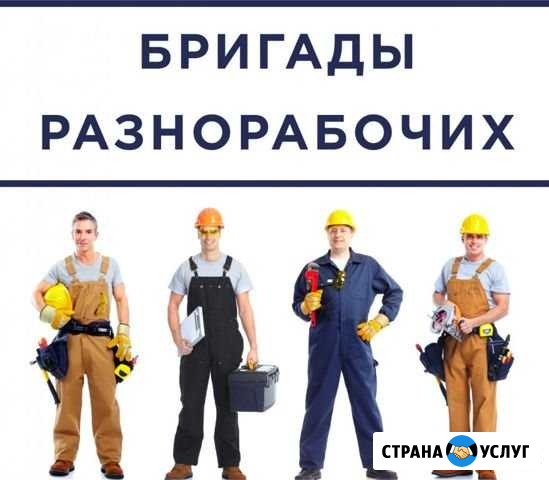 Земельные Работы : Под Ключ Советский - изображение 1
