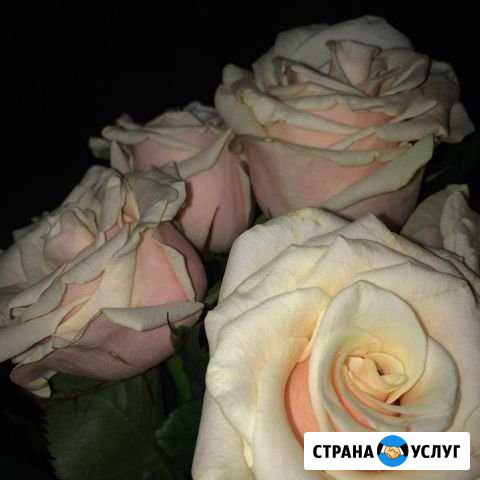 Предоставление консультаций для оздоровления Минеральные Воды - изображение 1