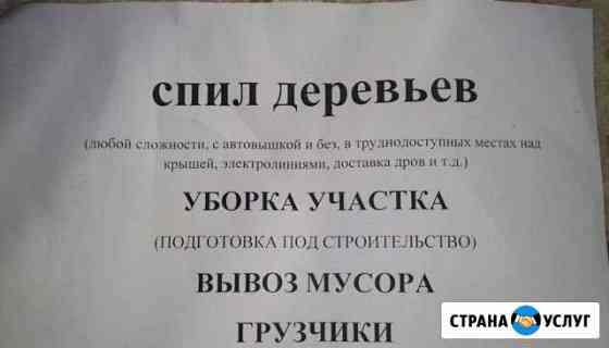Спил деревье Ростов-на-Дону