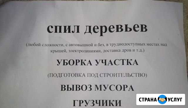 Спил деревье Ростов-на-Дону - изображение 1