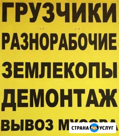 Разнорабочие и грузчики Ульяновск - изображение 1