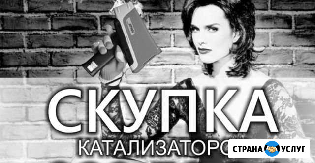 Скупка катализаторов Алексеевка Белгородской области - изображение 1