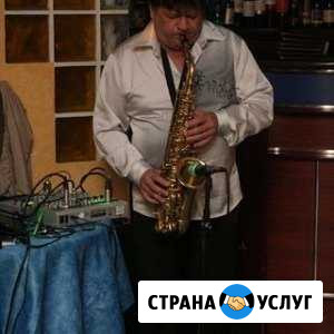 Саксофонист на свадьбу Владимир - изображение 1