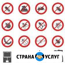 Уничтожение Тараканов,клопов,муравьев,крыс,мышей и Ставрополь - изображение 1