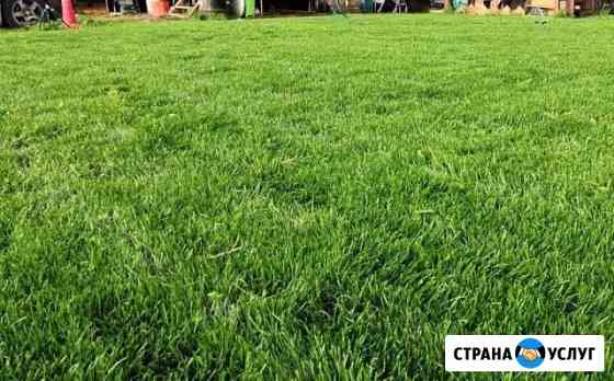 Газон, ландшафтные работы Челябинск
