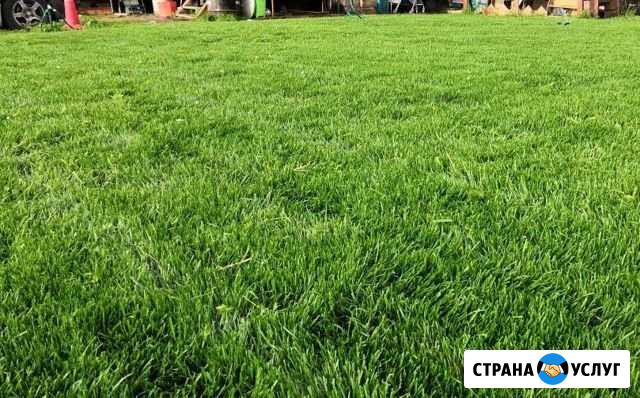 Газон, ландшафтные работы Челябинск - изображение 1