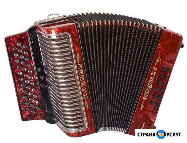 Уроки музыки для взрослых и детей Архангельск - изображение 1