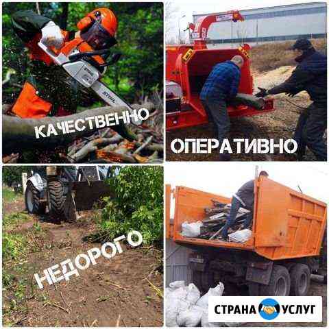 Спил деревьев/ вывоз мусора, веток, грунта Тольятти