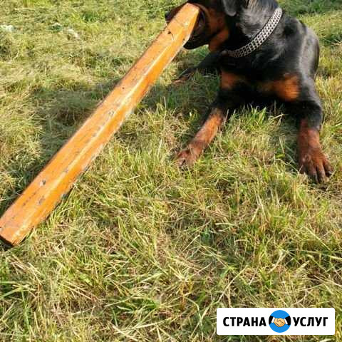 Вязка Березовский - изображение 1