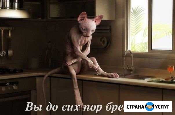 Шугаринг Волгоград - изображение 1