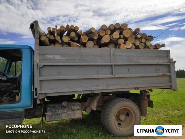 Услуги газ самосвал Сернур - изображение 1