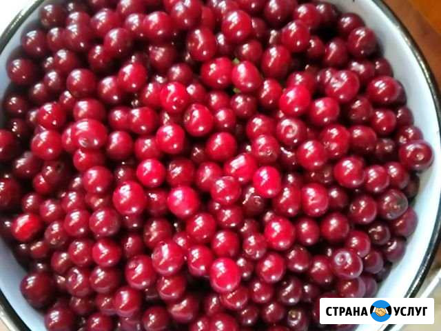 Продукты Иглино - изображение 1