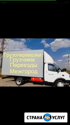 Грузоперевозки Можга - изображение 1