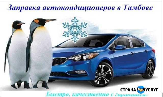 Заправка автокондицинеров А/С Тамбов - изображение 1