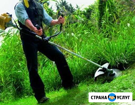 Покос травы Вышний Волочек - изображение 1
