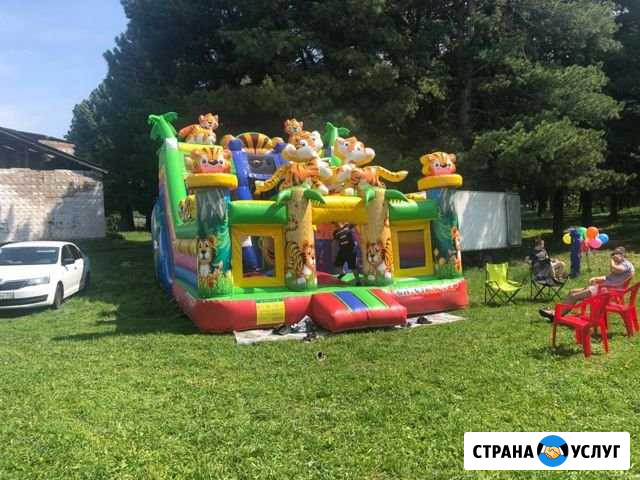 Батут в аренду Каргасок - изображение 1