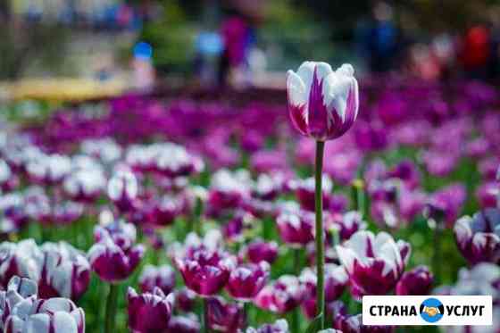 Обучение искусству фотографии Симферополь