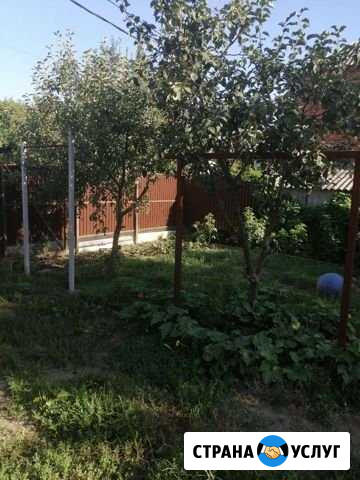 Бабушка на час п. Северный Краснодар - изображение 1