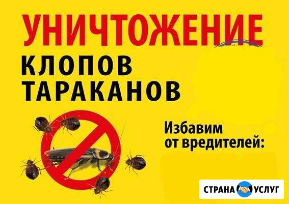 Уничтожение клопов, тараканов. Гарантия, договор Братск - изображение 1