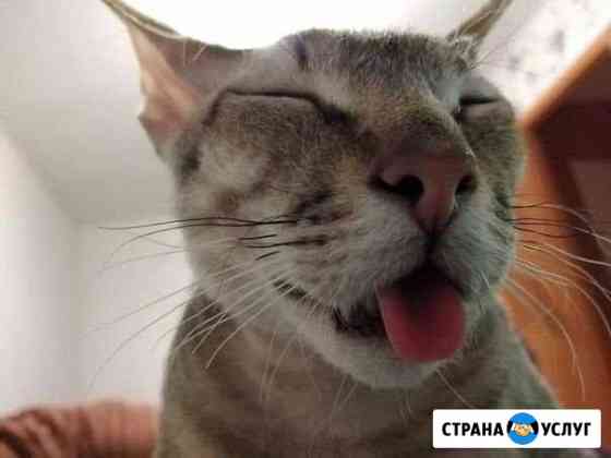 Муж на час Пермь