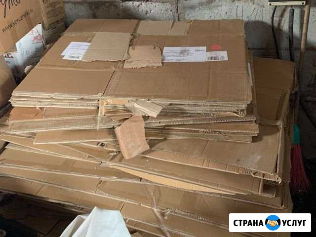 Вывоз мусора Ногинск - изображение 1