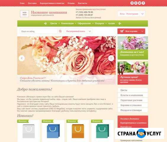 Создаю интернет-магазины любой сложности Челябинск - изображение 1