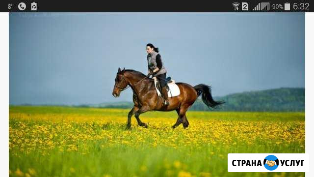 Постой лошадей Лаголово - изображение 1