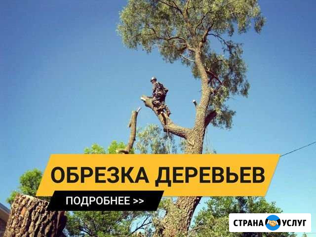 Обрезка деревьев Екатеринбург - изображение 1