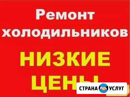 Ремонт Холодильников в Ульяновске Ульяновск - изображение 1