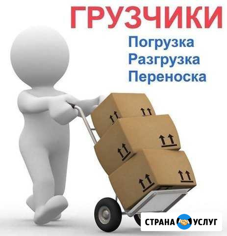 Грузчики от Саныча Североморск - изображение 1
