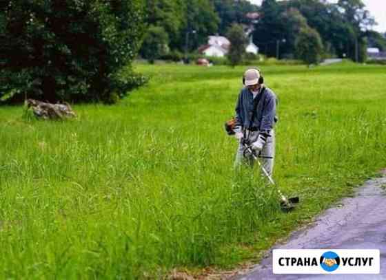 Косим траву, пилим деревья Новоалександровск