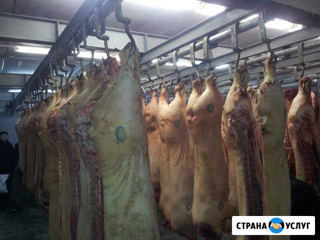 Холодильное оборудование Мичуринск - изображение 1
