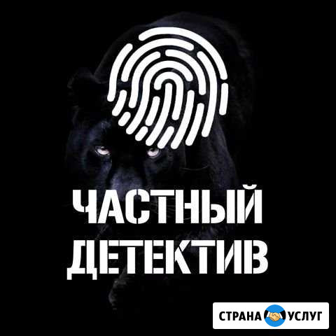 Частный детектив в Калининграде Калининград - изображение 1