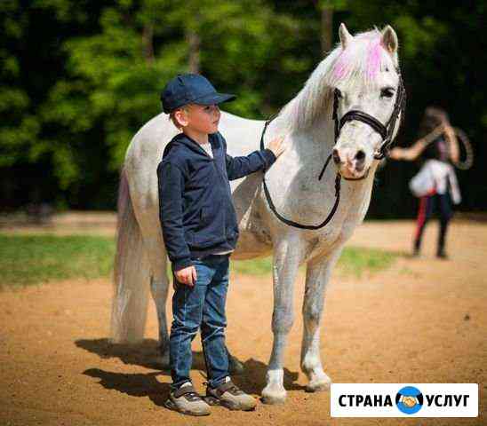 Детский конный лагерь Санкт-Петербург