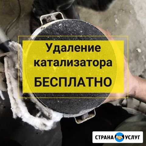 Катализатор. Удаление катализатора Бугульма - изображение 1