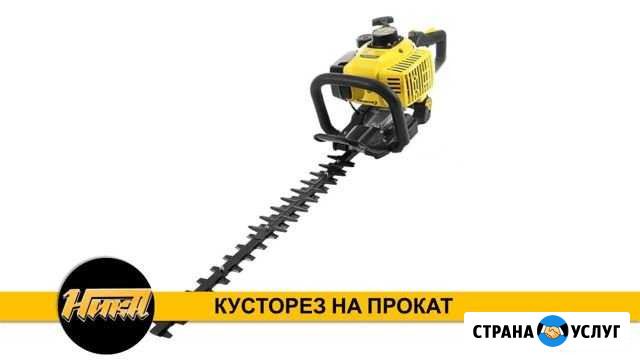 Аренда кустореза, прокат кустореза Липецк - изображение 1