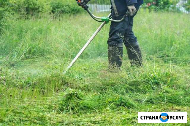 Покос травы в Урожайном Гвардейское - изображение 1