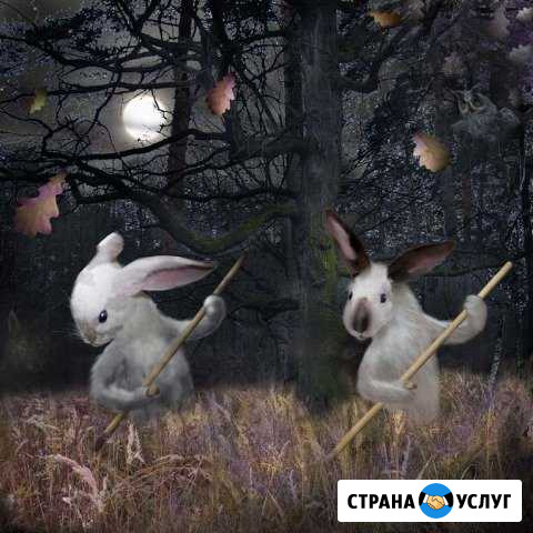 Покос травы и бурьяна. Уход за плодовыми деревьями Фрязино - изображение 1