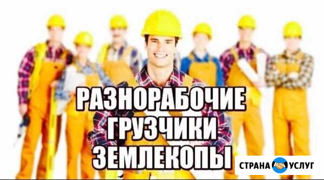 Грузчики/Грузоперевозки Нижнекамск - изображение 1