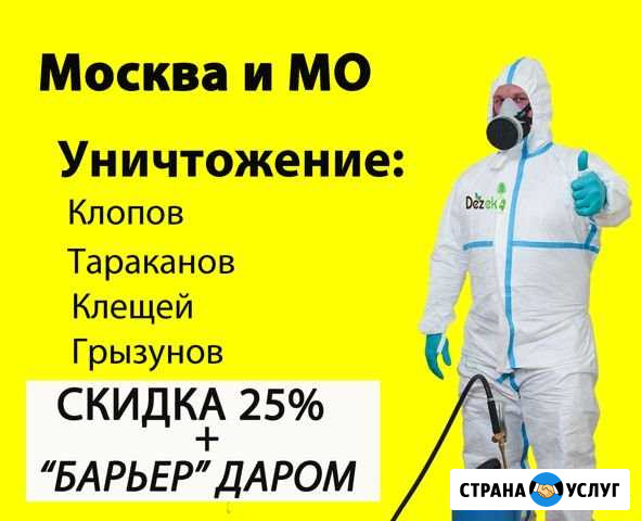 Дезинфекция,дезинсекция,избавим от клопов Люберцы - изображение 1