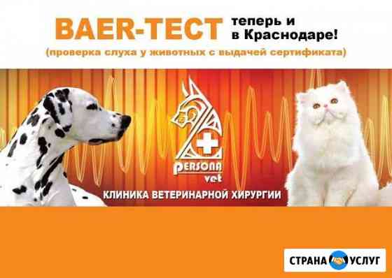 Baer-тест (проверка слуха животных) в юфо Краснодар