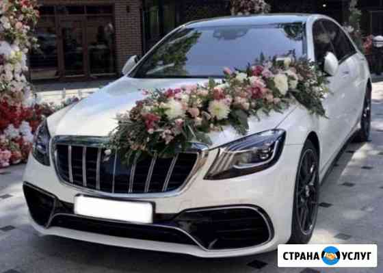 Услуги авто с водителем универсал