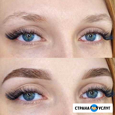 Бровист Волгоград - изображение 1