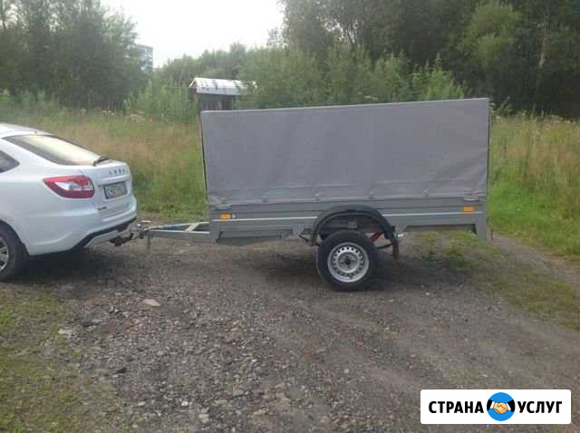 Аренда легкового прицепа Светлый - изображение 1