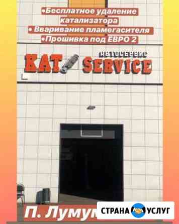 Бесплатное удаление катализатора Казань